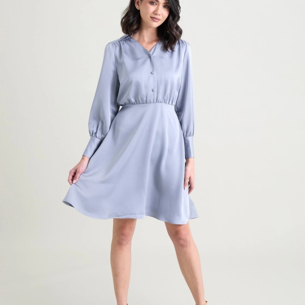 Downeast Vienna Long sleeve Collar Dress